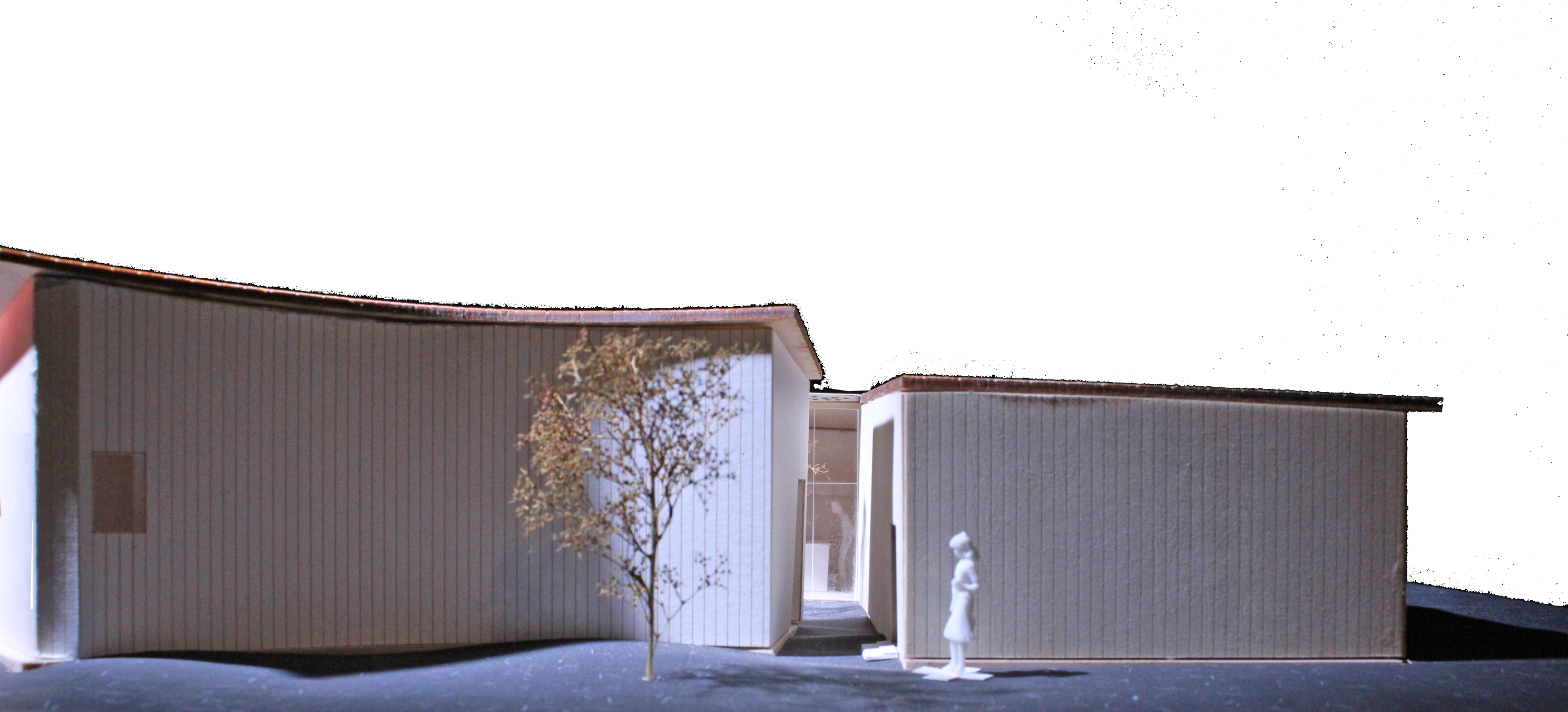elevation of house without drywall